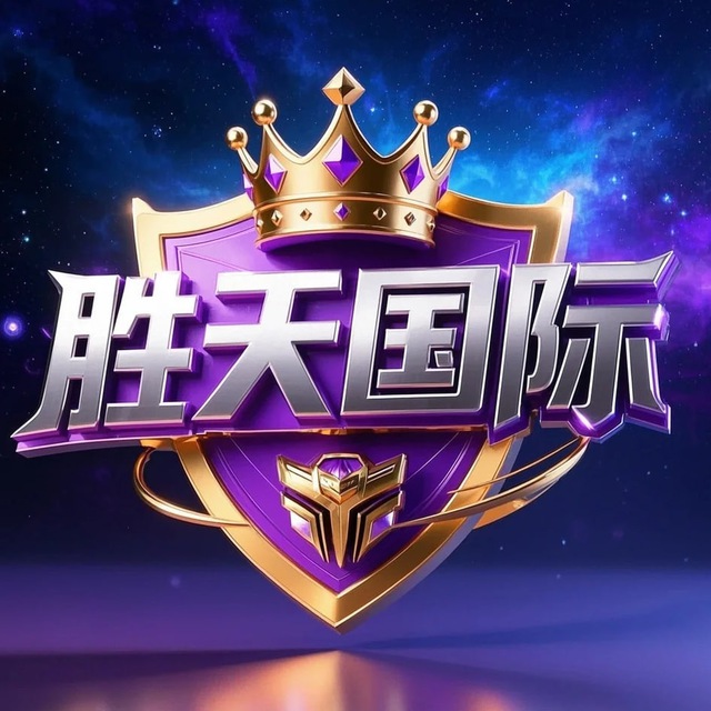 胜天国际游戏封面